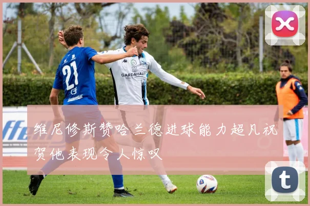 维尼修斯赞哈兰德进球能力超凡祝贺他表现令人惊叹